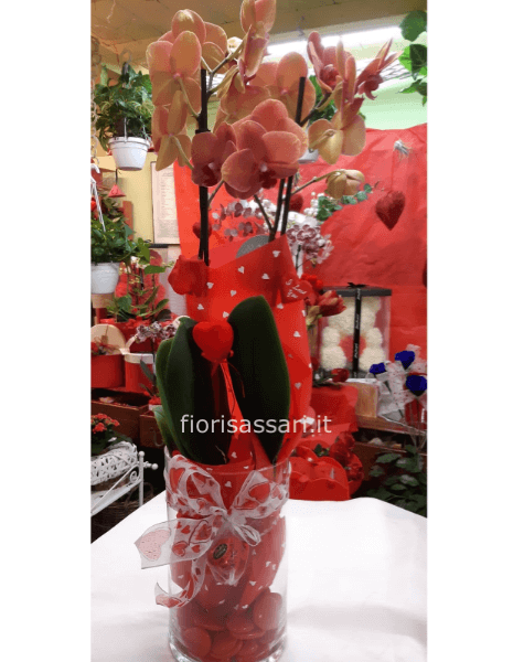 Pianta di falenopsis in vaso vetro con decori San Valentino