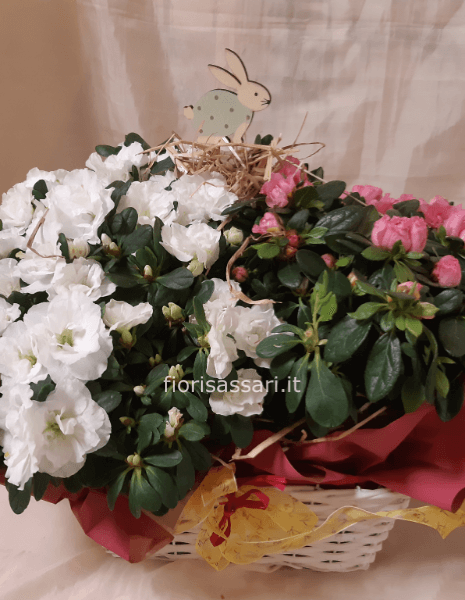 Cesto fiorito piante azalea 